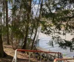 Турбаза Молодость лес, пирс, настольный теннис, бильярд - 2