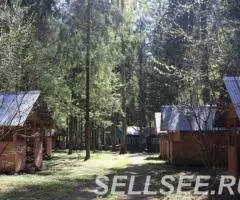 Турбаза Молодость лес, пирс, настольный теннис, бильярд - 3