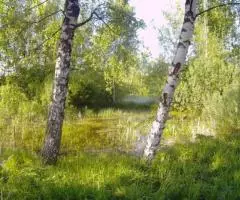 Продаю  дом , 219 кв.м , блочный - 8