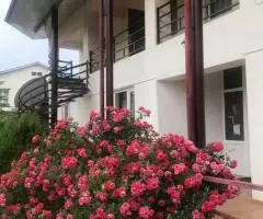 Люкс, Полулюкс номера на Иссык Куле - 3