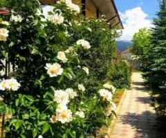 Люкс, Полулюкс номера на Иссык Куле - 4