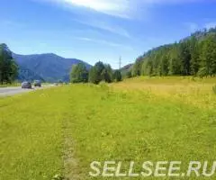 Земельный участок в Горном Алтае. Продаем 1 гектар. - 2