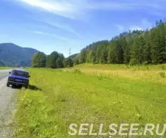 Земельный участок в Горном Алтае. Продаем 1 гектар. - 3