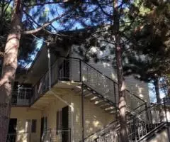 Пансионат Мурок Виллаж . 2-х, 3-х и 4-х местные номера - 4