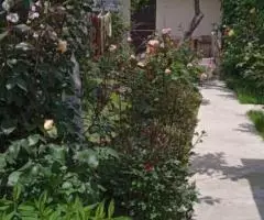 2х, 3х, 4х и 5-ти местные люкс и полулюкс номера на Иссык ... - 2