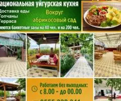 Отдых на Иссык Куле Кафе Мирсултан