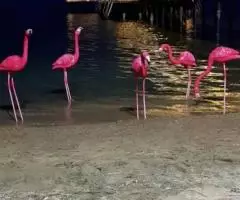 Коттеджи на Иссык Куле - 4