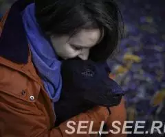 Преданный и любящий пес Тим - 3