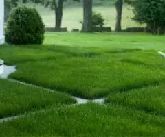 Газонные травосмеси для города, дачи, укрепления откосов и других целей - 2