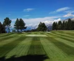 Газонные травосмеси для города, дачи, укрепления откосов и других целей - 5