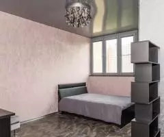 Большая квартира-студия с видом на озеро Карасун - 4