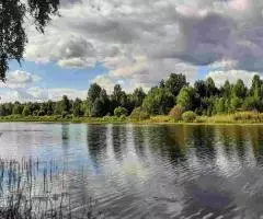 Бревенчатый дом на участке 1 гектар рядом с красивым озером - 3