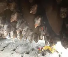 Дорожная фреза Wirtgen W2100, 6500 м/ч, из Европы - 4