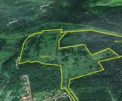 Шикарный участок, в 52,5 Га сельхозки, в д. Сокольники, Дмитровский район - 3