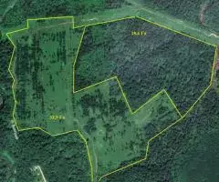 Шикарный участок, в 52,5 Га сельхозки, в д. Сокольники, Дмитровский район - 4