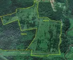 Шикарный участок, в 52,5 Га сельхозки, в д. Сокольники, Дмитровский район - 6