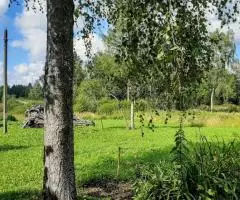 Домик с банькой в Дедовическом районе - 6