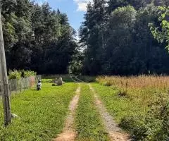 Большой бревенчатый дом неподалеку от красивого озера - 2