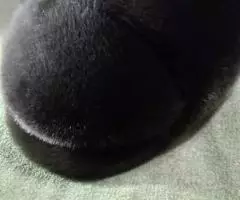 шапку мужскую продам - 6