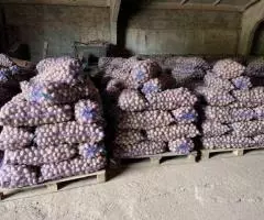 Картофель оптом от производителя - 2
