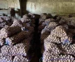 Картофель оптом от производителя - 4