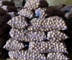 Картофель оптом от производителя - 5