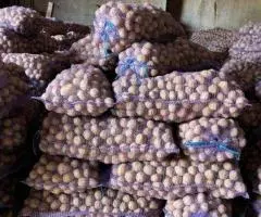 Картофель оптом от производителя - 6