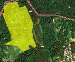 Земельный участок (25,3 Га) под застройку (малоэтажное и коттеджное строительство) - 2