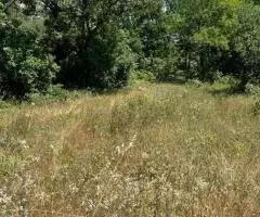 продается участок на Фиоленте в снт "Милосердие" - 2