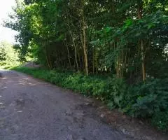 Продам участок в п Ландышевка - 4