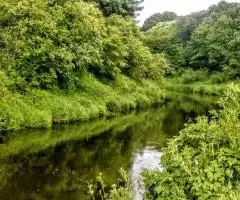 Участок 16 соток на берегу реки в Черёхе - 5