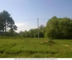 Участок 16 соток на берегу реки в Черёхе - 6