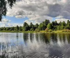 Дом на большом участке 1 гектар рядом с небольшим красивым озером - 3