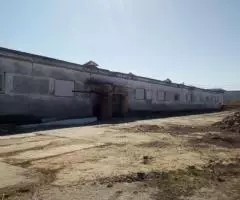 Продается неиспользуемое фермерское хозяйство - 5