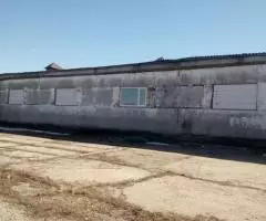 Продается неиспользуемое фермерское хозяйство - 6