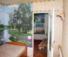 Трехкомнатная квартира с индивидуальным газовым отоплением в г. Чаплыгин Липецкой области - 3