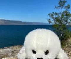 Mimis Мы - компания-производитель мягких игрушек под торговой маркой Mimis. - 5