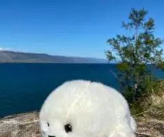 Mimis Мы - компания-производитель мягких игрушек под торговой маркой Mimis. - 6