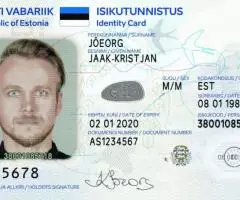 Стартап Виза Эстония - 4