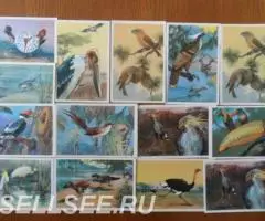 Советские от 1960х г. птицы В. Каневский, зверята - 2