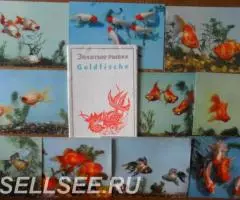 Китайские дети, Корейские, Вьетнамские1950г, 60г - 2