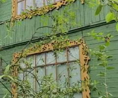 Продаются Два Дома Владимирская область Петушинский район СНТ Дубок; г.Старые Петушки - 5