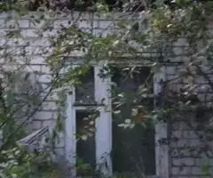 Продаются Два Дома Владимирская область Петушинский район СНТ Дубок; г.Старые Петушки - 6