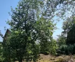 Продаются Два Дома Владимирская область Петушинский район СНТ Дубок; г.Старые Петушки - 7