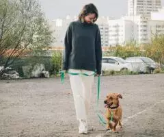 Маленькая собачка Варя - 4