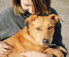 Маленькая собачка Варя - 5