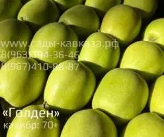 Оптовая продажа яблок разных сортов и калибров - 2