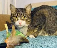 Скромная и нежная Пиаф. - 2