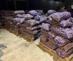 Картофель 35-45 оптом от производителя - 2