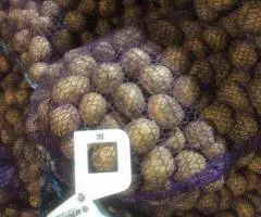 Картофель 35-45 оптом от производителя - 7